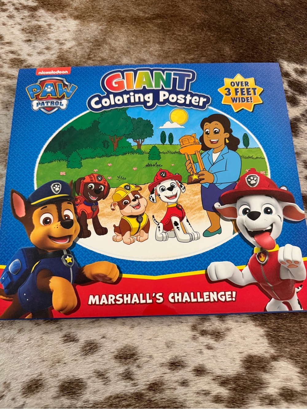 Nickelodeon Paw Patrol Giant Coloring Poster - Blue, Red, Yellow, Green
